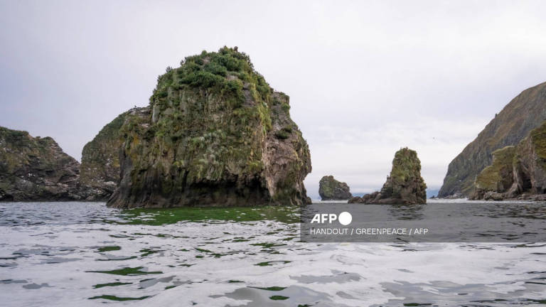 This handout picture released by Greenpeace on October 5, 2020 shows the water area near the Khalaktyr beach on the Kamchatka peninsula. A Russian official said on October 5 that the sea off the remote Kamchatka peninsula may have been contaminated with toxic chemicals as Greenpeace warned of an ecological disaster for marine life. - Handout / GREENPEACE / AFP