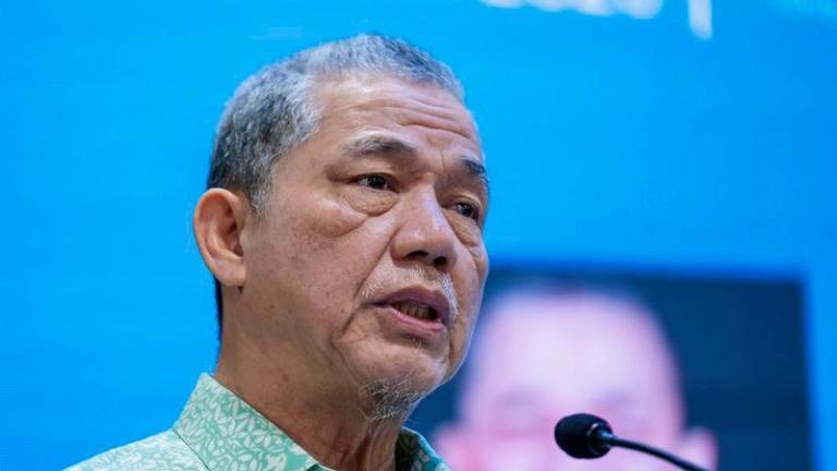 Deputy Prime Minister Datuk Seri Fadillah Yusof - BERNAMApix