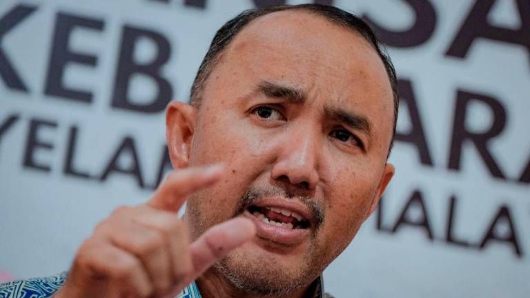 Johor Housing and Local Government Committee chairman Datuk Mohd Jafni Md Shukor. - BERNAMA