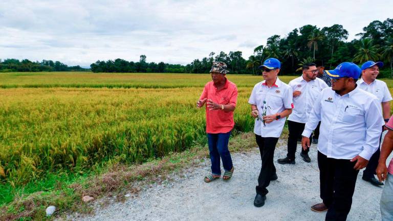 The Deputy Secretary‑General (Development) of the Ministry of Agriculture and Food Security, Datuk Luqman Ahmad (second from left), inspected rice fields at the Bachok Rice Harvesting Programme in Kampung Keting today. Also present was Mohd Faizul Mustafa (right), General Manager of the Kemubu Agricultural Development Authority (KADA). - BERNAMA