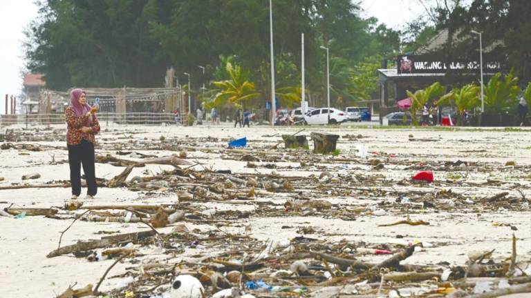 HIGH TIDE WOES ... Branches, twigs and garbage strewn along the sand, washed up by waves during the northeast monsoon season at the Batu Burok Beach in Terengganu yesterday. – BERNAMAPIC