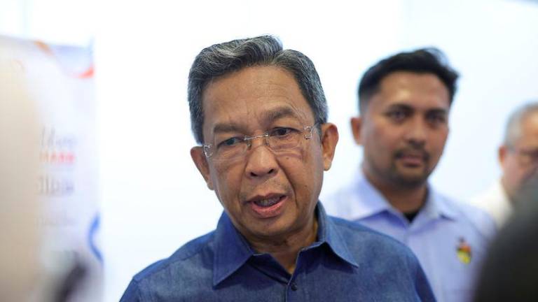 Negeri Sembilan Rural Development, Plantation and Commodities Committee chairman Datuk Seri Jalaluddin Alias - Photo by BERNAMA