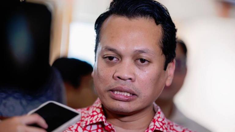 BERNAMApix