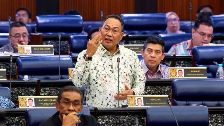 Pendang MP Datuk Awang Hashim - BERNAMApix