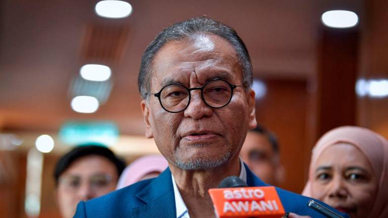 BERNAMApix