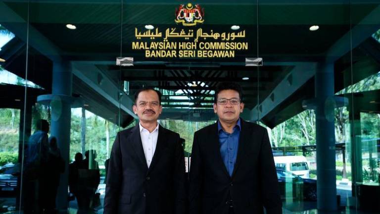 BERNAMApix