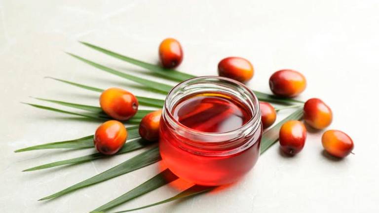 Gambar Hiasan sahaja. Gambar dari Malaysian Palm Oil Council / Facebook