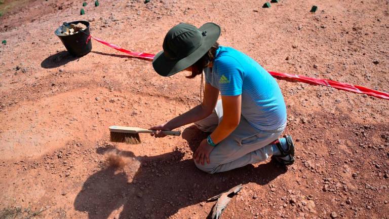 A person searches for dinosaur eggs at the Mount Sainte-Victoire site, near Aix-en-Provence in southern France, on June 25, 2025. - AFPpix