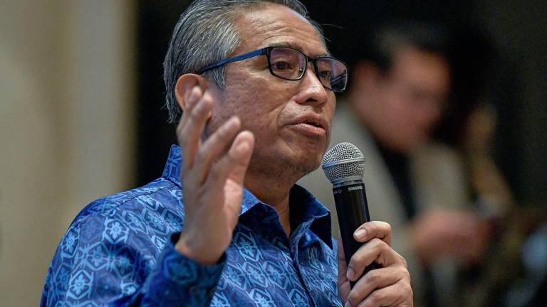 Bernamapix
