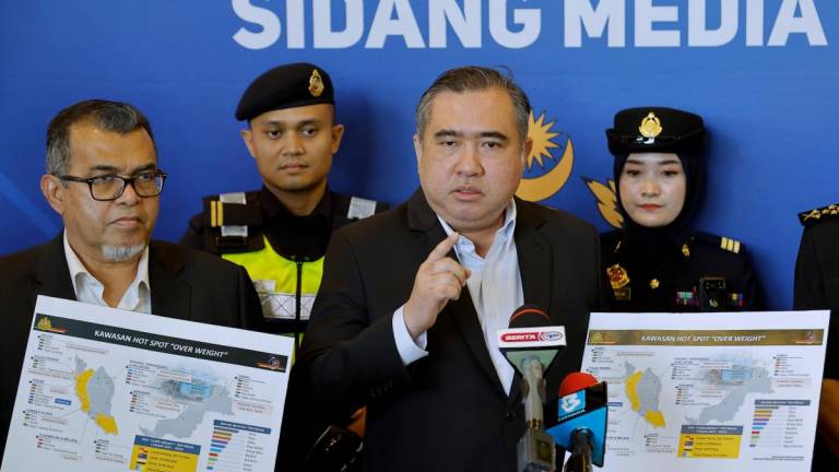 Bernamapix