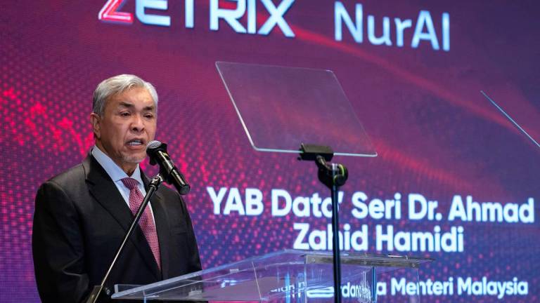 - BERNAMApix