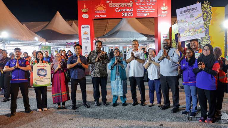 Bernamapix