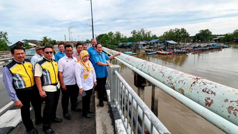 BERNAMAPIX