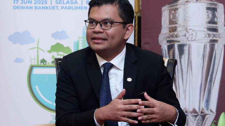 BERNAMAPIX