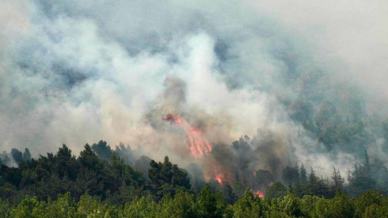A new fire rages in a forest near the city of Narbonne, southwestern France, on July 8, 2025. (Photo by IDRISS BIGOU-GILLES / AFP)