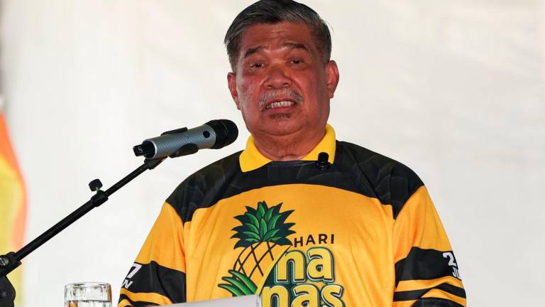 Bernamapix