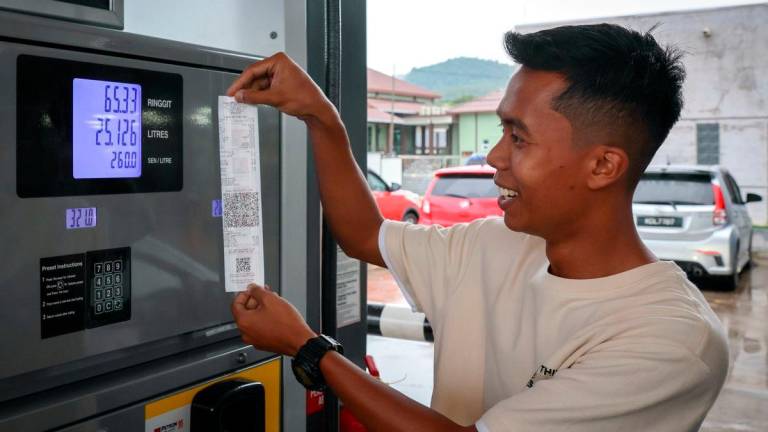 Bernamapix