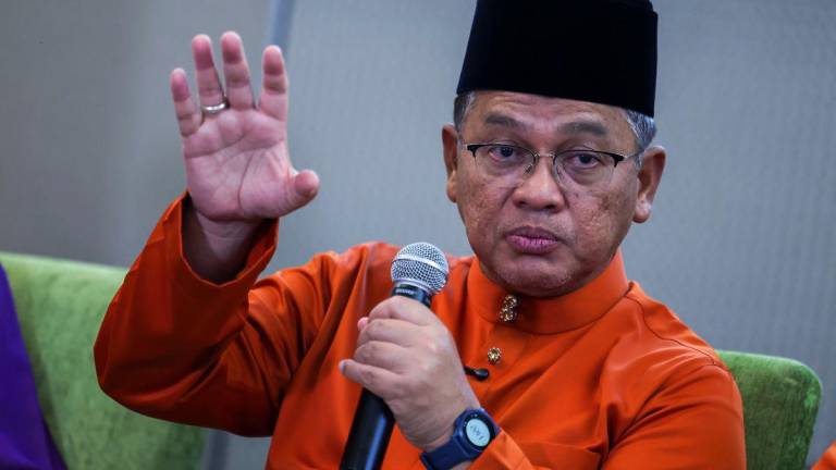 Bernamapix