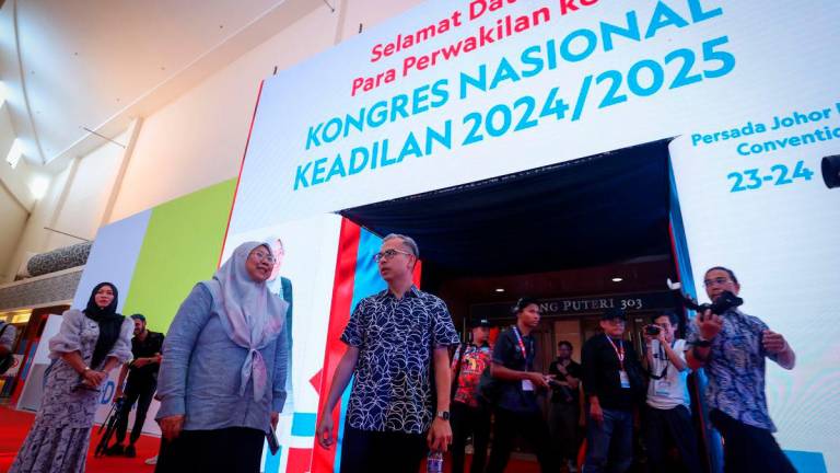 Bernamapix
