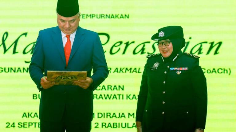 Bernamapix
