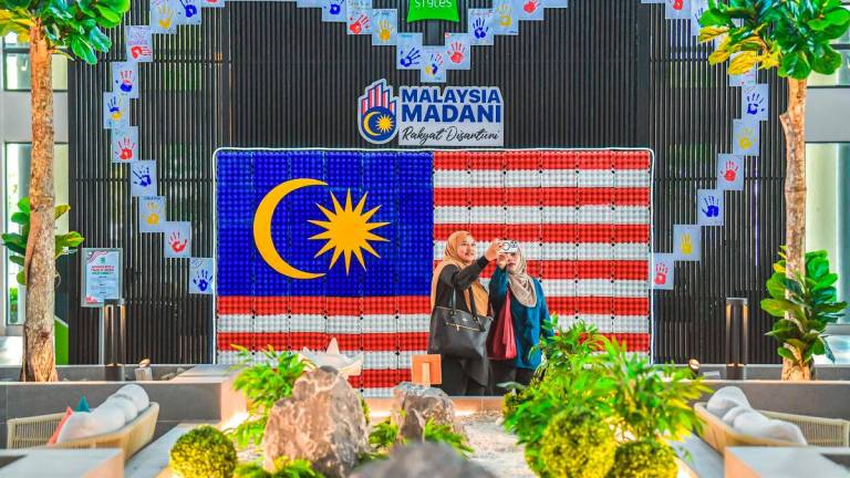 Bernamapix