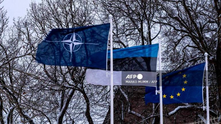 Image for visual purposes - (Photo by Marko Mumm / AFP)