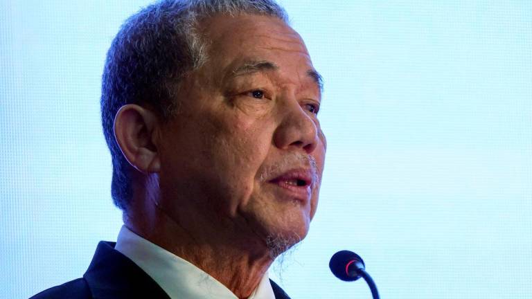 Deputy Prime Minister Datuk Seri Fadillah Yusof - Bernamapix