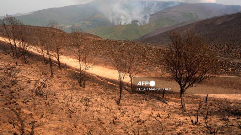 This picture taken from a burned area at the Orellana viewpoint in the Roman-era mining site of Las Medulas in the municipality of Carucedo, shows a wildfire in the background, on August 11, 2025. - Cesar Manso / AFP