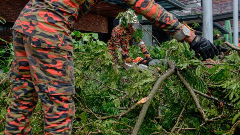 Gambar hiasan - fotoBERNAMA