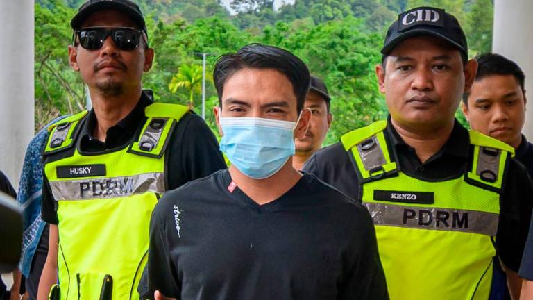 Seorang penjual daging mengaku tidak bersalah di Mahkamah Majistret Selayang hari ini, atas pertuduhan menyebabkan kematian abang iparnya di sebuah hutan simpan di Taman Pinggiran Batu Caves, bulan lepas- BERNAMA