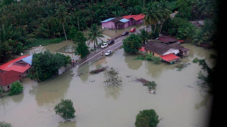 - Bernama file pic