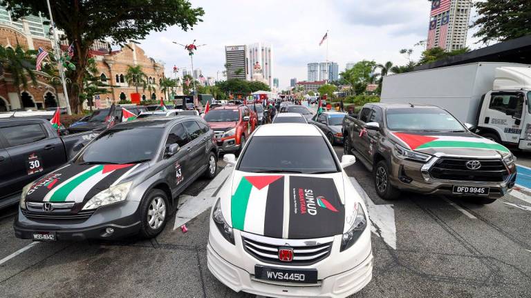- BERNAMApix