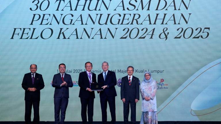 Bernamapix
