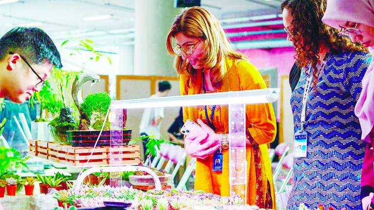 WED involved students in many projects which created awareness on sustainable actions.