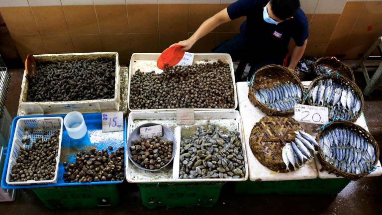 Image for visual purposes - Photo by BERNAMA