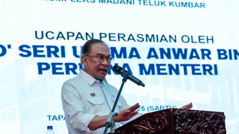 BERNAMAPIX