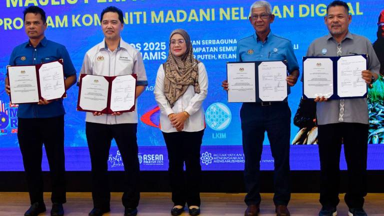 Bernamapix