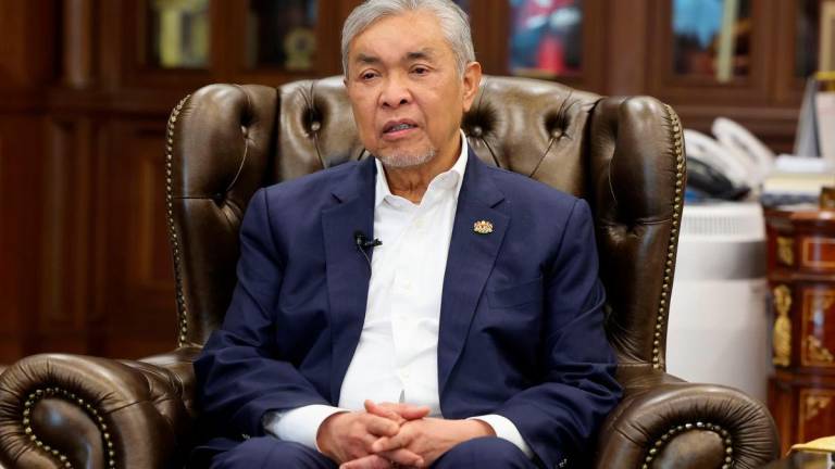 Bernamapix