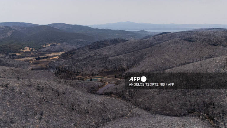 This photograph shows a burnt area following a wildfire near Psachna Village on Evia (Euboea) island, the second-largest Greek island, on July 27, 2025. - AFP