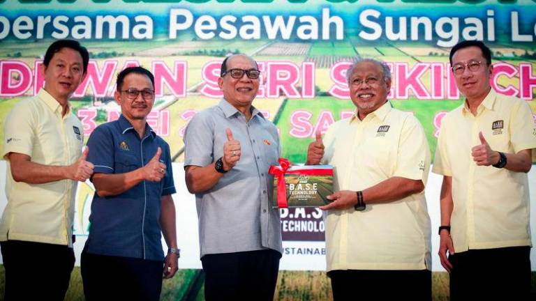 BERNAMAPIX