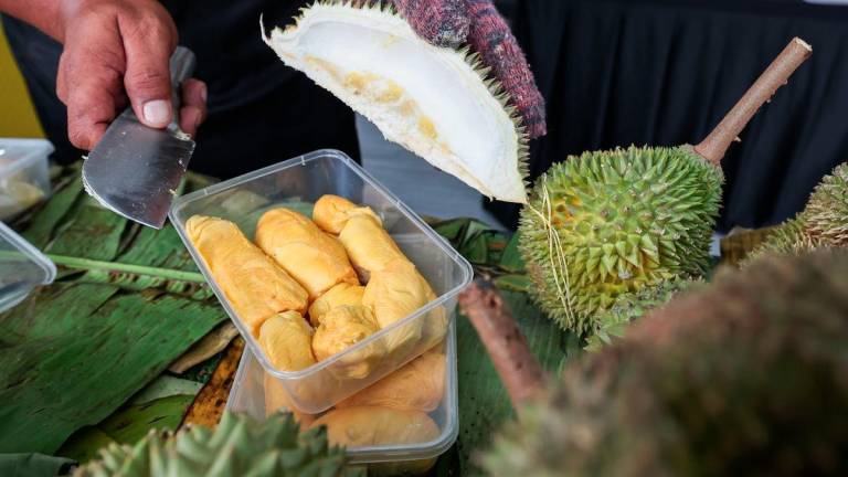 Durian Musang King yang dibeli pelanggan ketika tinjauan Bernama pada Program Jelajah Karnival Kementerian Perdagangan Dalam Negeri dan Kos Sara Hidup (KPDN) 2025 dan Kempen Beli Barangan Malaysia Zon Selatan di Pusat Konvensyen Puteri Harbour hari ini. - fotoBERNAMA
