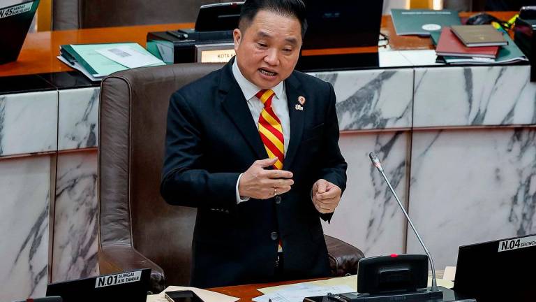 Selangor executive councillor for Tourism and Local Government, Datuk Ng Suee Lim. - BERNAMApix