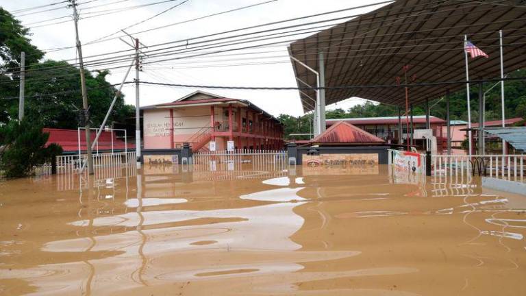 Pix for representational purposes - BERNAMAPIX