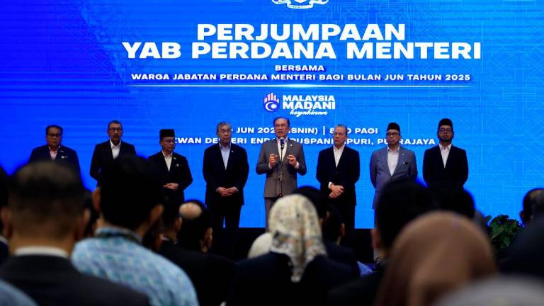 Bernamapix
