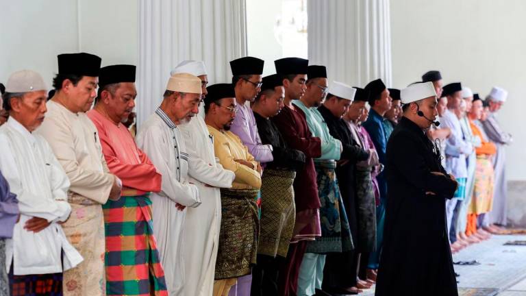 Bernamapix.