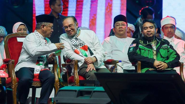 - BERNAMApix