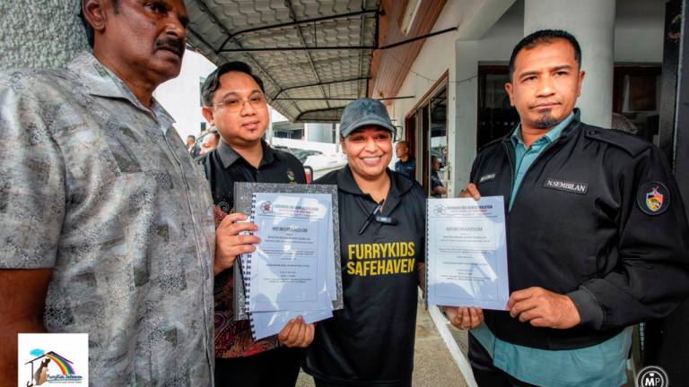 State govt urged to halt the planned culling of stray dogs in Negri Sembilan: Gabungan NGO Haiwan Malaysia