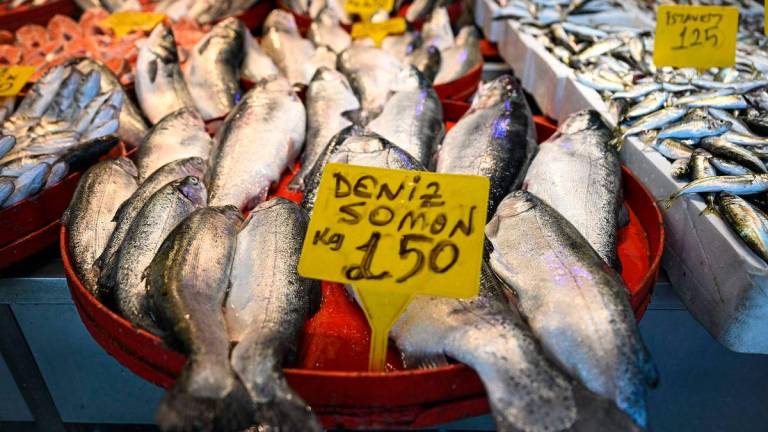 Turkish salmon is displayed at a fish market in Trabzon, on the Black Sea on June 11, 2025. AFPpix