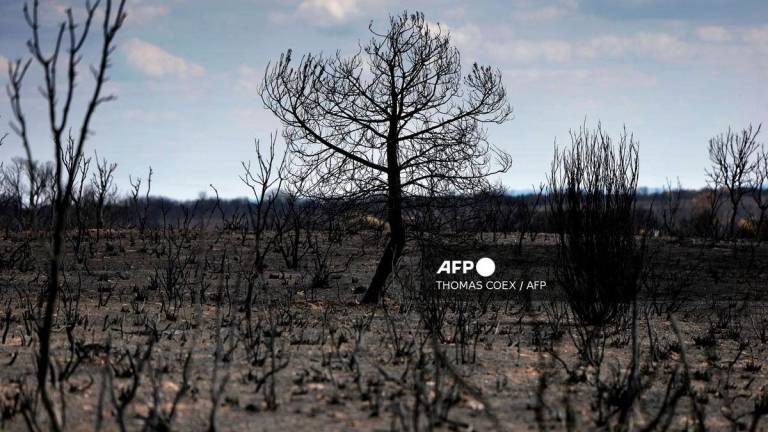 (Photo by Thomas COEX / AFP)