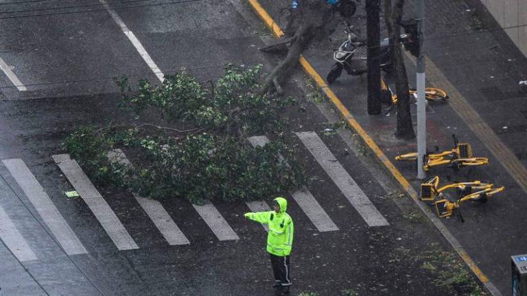 This picture shows a fallen bicycles on a road amid strong winds and rain from the passage of Typhoon Bebinca - AFPpix